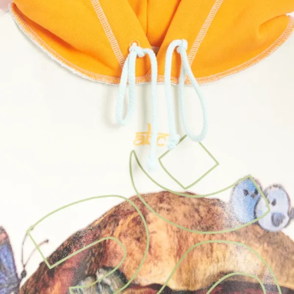 Multicolor ABC Planet Saving Information Fungi Hoodie Close View